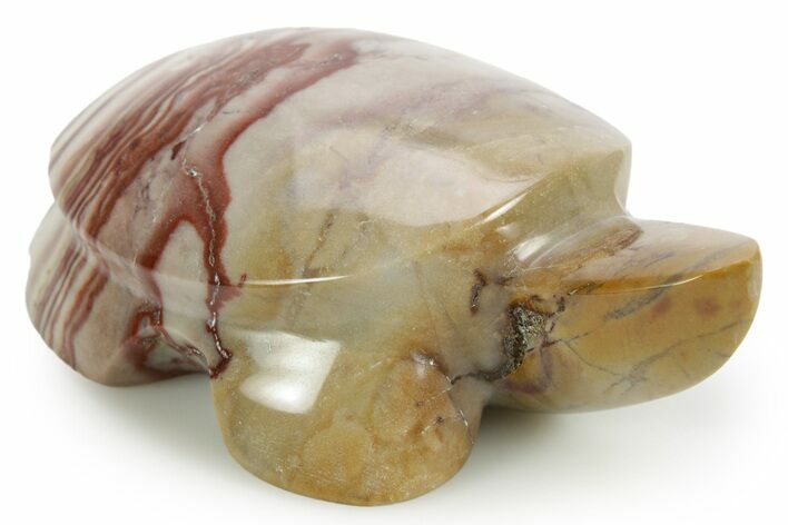 Carved Rhyolite Turtle - Nevada #373620